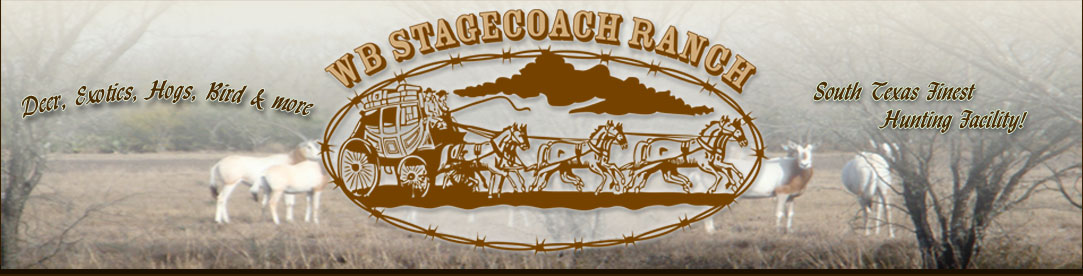 WB Stagecoach Ranch